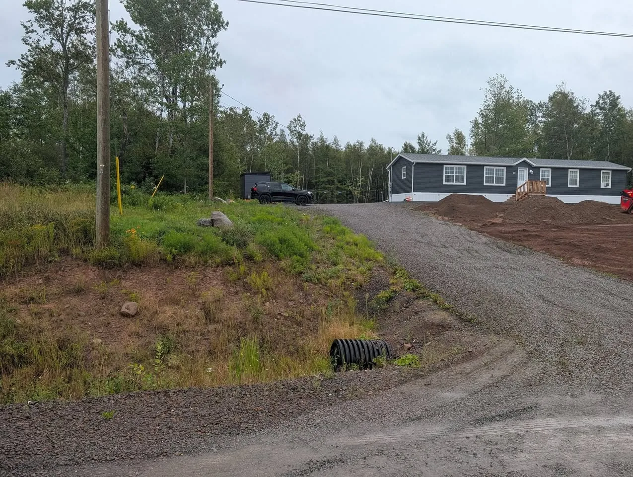 Early work showing the overgrown roadside bank and steep ditch beside the driveway