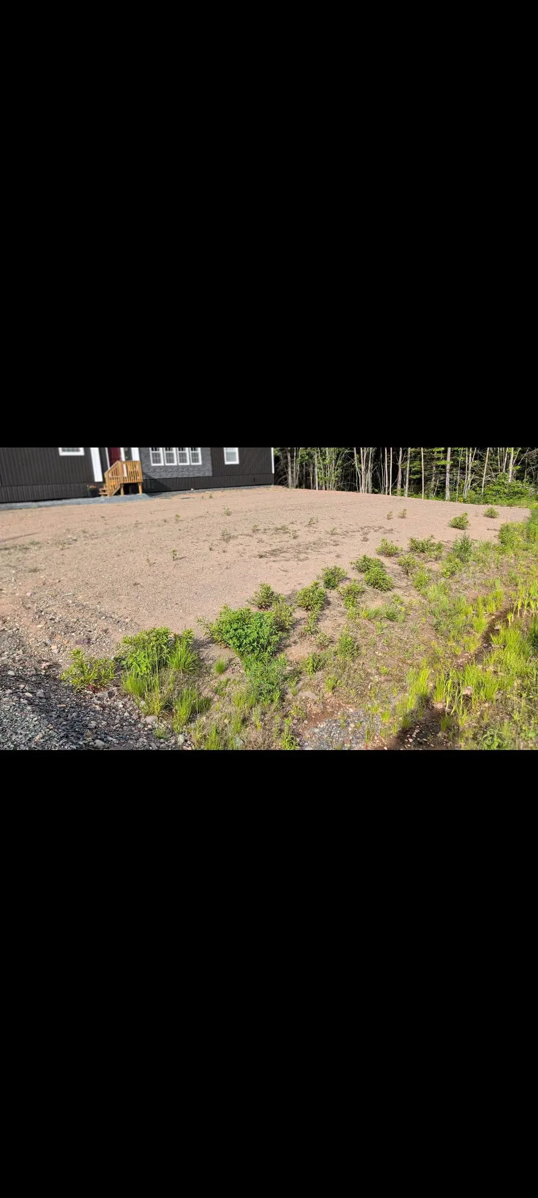Rough ground and remaining vegetation at the Waasis property before final preparation