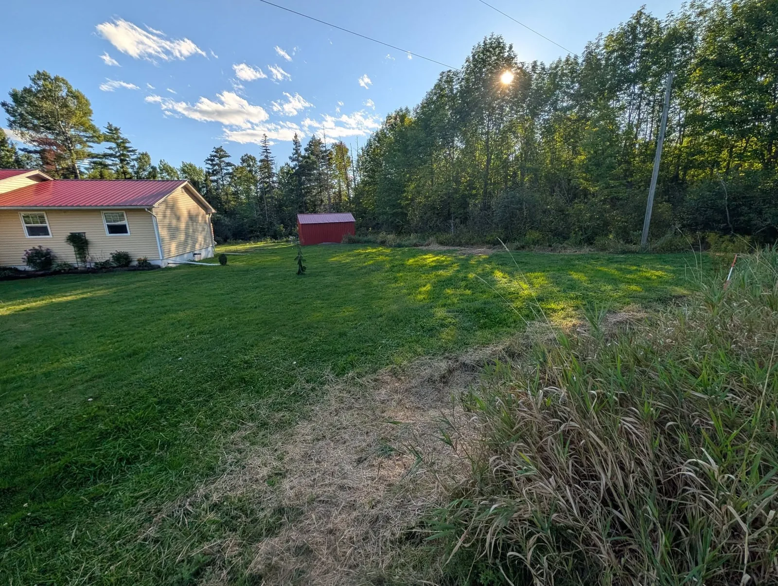 Sloping lawn beside a yellow house before drainage corrections